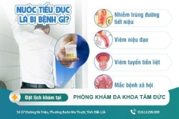 Nước tiểu đục trắng là dấu hiệu bệnh gì? Tác hại và cách điều trị như thế nào?