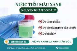 Cách trị viêm đường tiểu tại Đắk Lắk - Nước tiểu màu xanh có sao không?