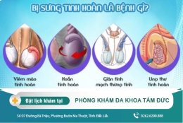 Bị sưng tinh hoàn: Nguyên nhân và cách khắc phục hiện nay