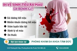 Đi vệ sinh tiểu ra máu là bệnh gì?