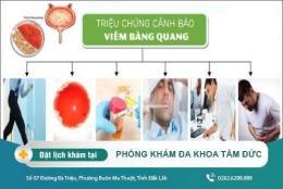 Tổng quan các kiến thức liên quan đến viêm bàng quang