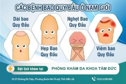 Bao Quy Đầu : Các bệnh lý thường gặp và cách điều trị hiện nay