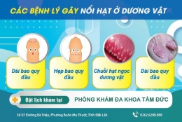 Dương vật nổi hạt là bệnh gì? cách điều trị ra sao?