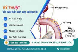Chữa xuất tinh sớm bằng cắt dây thần kinh lưng dương vật