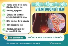 Điều cần biết về viêm đường tiểu và giải pháp trị liệu hiệu quả