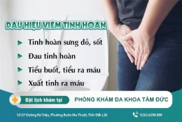 Viêm tinh hoàn là gì? Cách điều trị viêm tinh hoàn hiệu quả