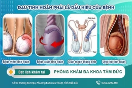 Đau tinh hoàn phải - dấu hiệu bệnh lý nguy hiểm ở nam giới