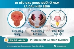 Đi tiểu đau bụng dưới có đáng lo? Cách điều trị tiểu đau bụng dưới