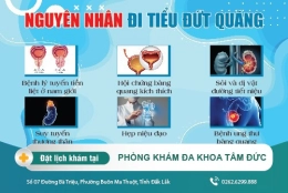 Đi tiểu đứt quãng là bệnh gì? nguyên nhân và cách điều trị hiệu quả