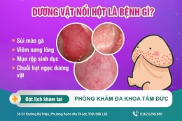 Nổi hột ở dương vật - cách nhận biết bệnh lý nam khoa nguy hiểm