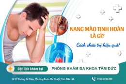 Nang mào tinh hoàn là gì? Cách chữa nang mào tinh hoàn hiện nay