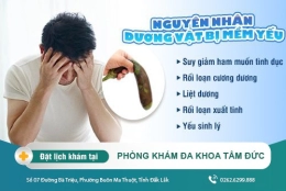 Dương vật mềm yếu có phải chứng rối loạn cương dương?