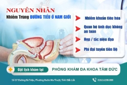 Cách trị nhiễm trùng đường tiểu hiệu quả nhanh chóng