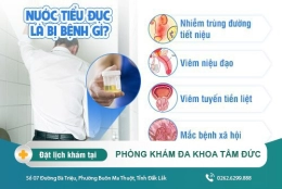 Nước tiểu đục báo hiệu điều gì? các bệnh lý liên quan