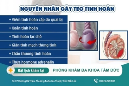 Dấu hiệu teo tinh hoàn, biến chứng và cách điều trị teo tinh hoàn