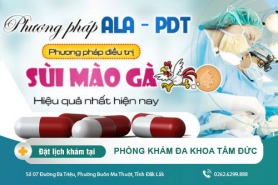 Thuốc điều trị sùi mào gà có hiệu quả không? Cách điều trị sùi mào gà?