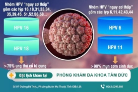 Virus hpv là gì? Những điều cần biết về virus hpv