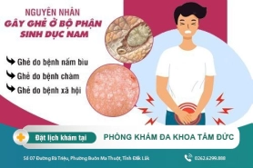 Bị ghẻ ở bộ phận sinh dục có sao không? Cách khắc phục nhanh chóng?