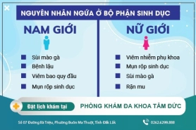 Bị ngứa ở bộ phận sinh dục là do đâu? Triệu chứng và cách điều trị hợp lý