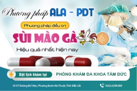 Cách trị sùi mào gà hiệu quả - Biểu hiện nhận biết sùi mào gà