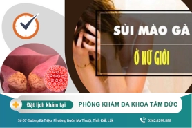 Sùi mào gà ở bộ phận sinh dục nữ do đâu và cách điều trị thế nào?