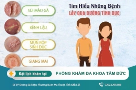 Các Bệnh Lây Qua Đường Tình Dục - Địa Chỉ Chữa Bệnh Xã Hội Uy Tín